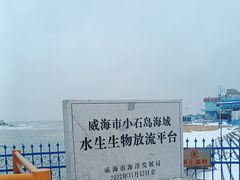 -小石岛景区