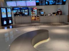 -保定金棕榈先天下国际影城(LUXE)