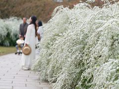 -共青国家森林公园-售票处