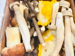 -菌小白·野生菌火锅(时尚天河店)