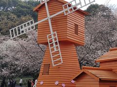 -苏州上方山国家森林公园