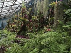 -长春公园(普阳街道)