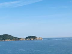 -合肥滨湖国家森林公园