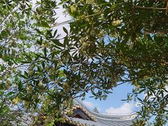 -岭南和园