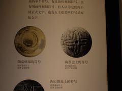 -上海崧泽遗址博物馆