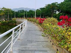 -厦门国家会计学院