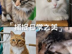 -小时光咖啡馆(开森度假森林店)