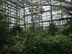 -南山植物园