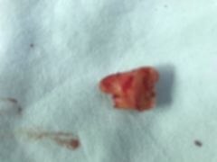 -西安交通大学口腔医院(主院区)