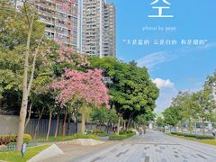 -白石龙音乐公园