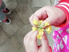 -杨柳青园艺科技博览园