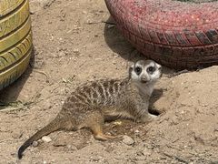 -鄂尔多斯野生动物园