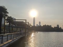 -白塘生态植物园
