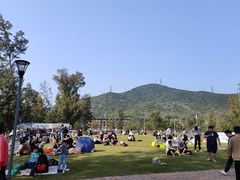 -玫瑰海岸文化旅游度假区