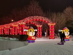 -沈阳奥体冰雪嘉年华