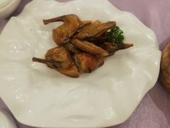 沙田乳鸽-宝燕壹号(徐汇店)