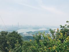 -紫金山天文台