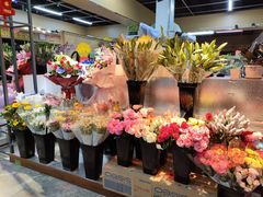 -大自然花鸟鱼虫市场