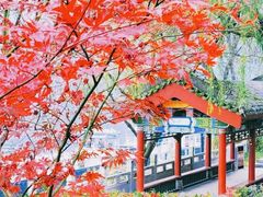 -秦岭终南山世界地质公园翠华山景区