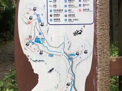 -都江堰中华大熊猫苑