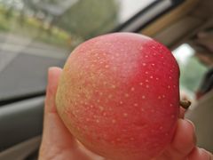 -扁都口生态休闲旅游区