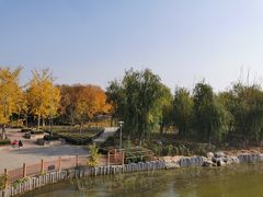 -大兴滨河森林公园