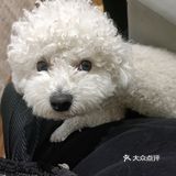 [指甲油]今天做了个绝绝子美甲[美甲]