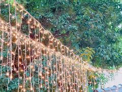 景观位-玫瑰厅上海菜(兴国路店)