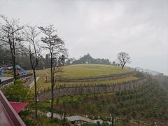 -天姥山