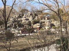 -莲花池公园