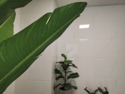 -杨丹国际美学肌研所