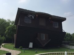 -金山农民画村-枫泾波兰倒置屋