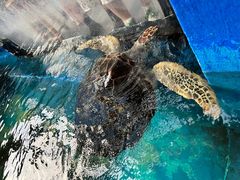 -成都浩海立方海洋公园