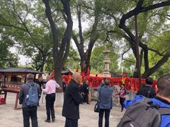 -大槐树寻根祭祖园