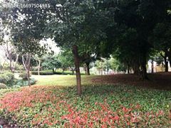 -河泥荡文化公园