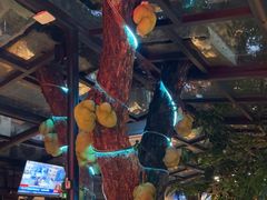 -海岛八号龙虾烧烤田鸡(蓝天路总店)