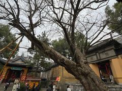 -无锡惠山寺