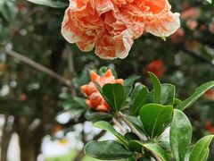 -云南滇池花园国际大酒店温泉