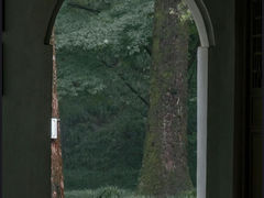 -虎跑公园