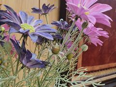 -三锅莊·牦牛肉火锅·香格里拉特色藏餐宴请餐厅(昆明创始店)