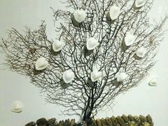 -青岛贝壳博物馆