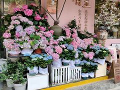 -溪岸路花鸟市场
