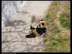 -西安秦岭野生动物园