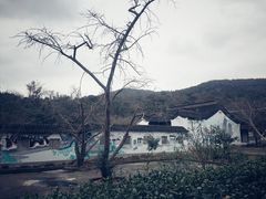 -雨花胜境