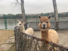 -太阳岛度假酒店