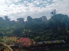 -西双版纳原始森林公园