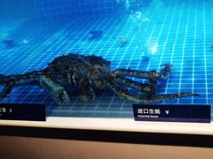-日进一片海.生腌海鲜火锅.宵夜烧烤(三里屯总店)