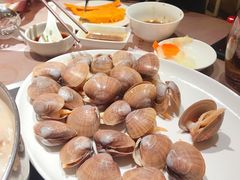-協成海鮮火鍋(老店)