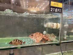 -合家小菜餐馆(新诚花苑店)