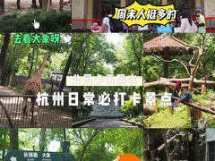 -杭州动物园